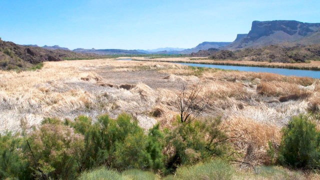 Havasu-Colorado River 039