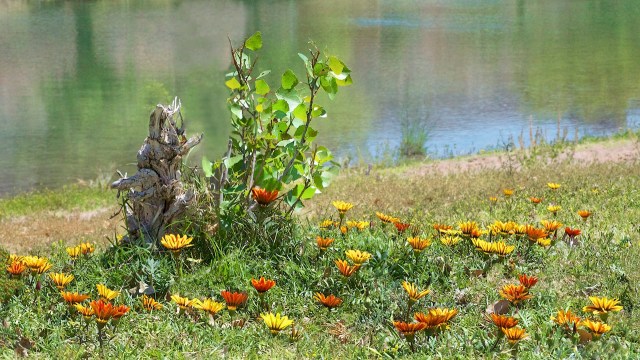 Havasu-Colorado River 128